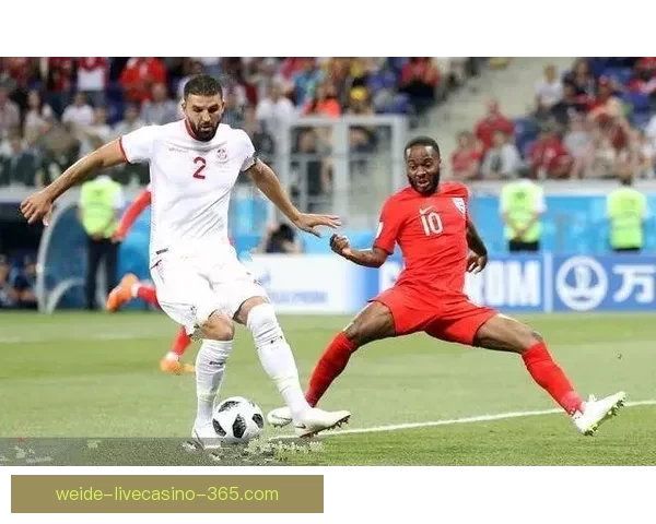 世界杯买球网站最新资讯与技巧全面解析指南