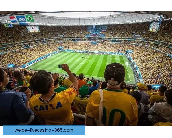 世界杯买球网站最新资讯与技巧全面解析指南